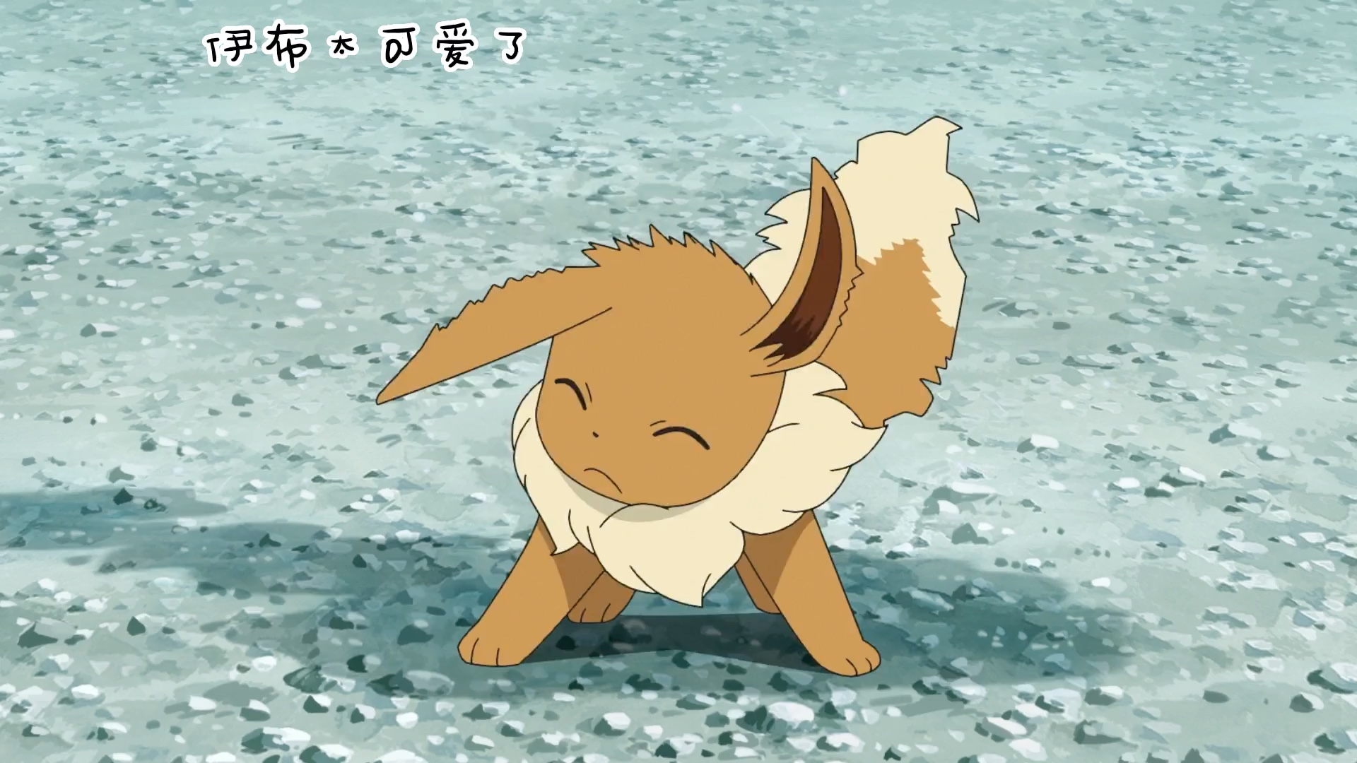 无法进化的伊布也太可爱了吧!
