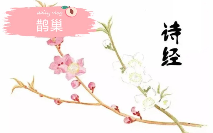 [图]❤诗经《鹊巢》表达的意思是什么呢？跟我们现代婚嫁还是很相似的！！！