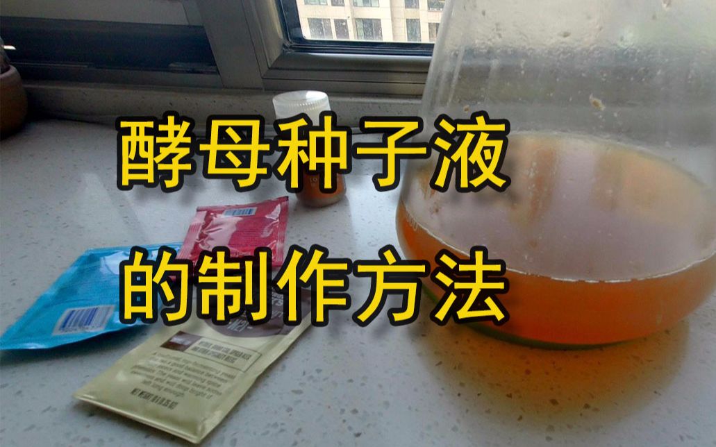 【酿造学院】最简单有效的几种酵母种子液的制作方法(上)哔哩哔哩bilibili