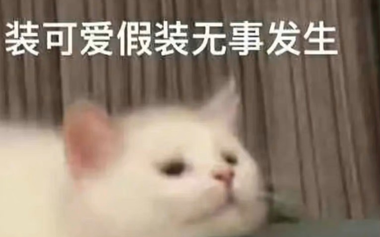 【我那些压箱底的表情包】装可爱假装无事发生