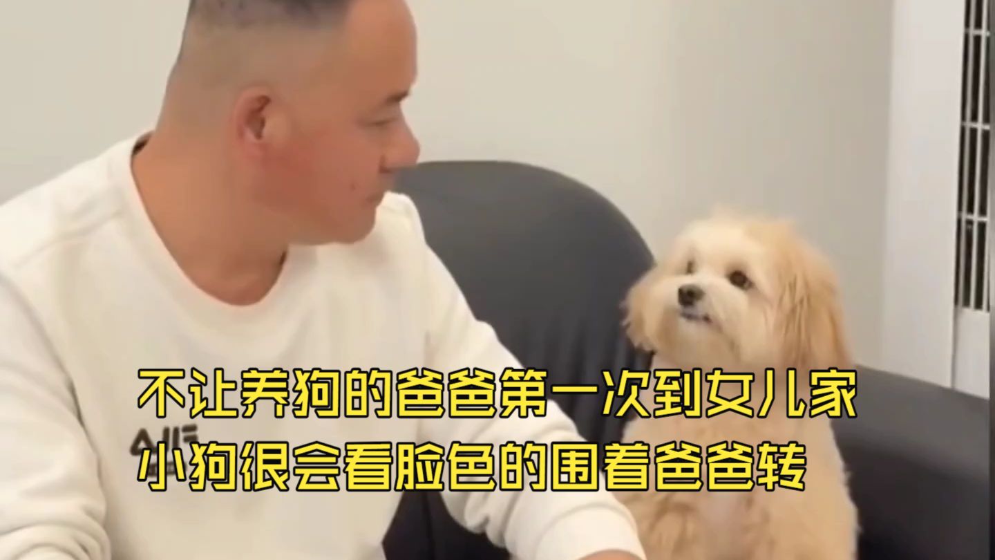 不让养狗的爸爸第一次到女儿家，小狗很会看脸色的围着爸爸转