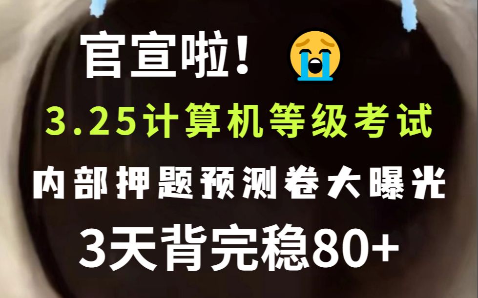 3.25全国计算机等级笔试 | 只剩下3天时间了!完全足够上岸!内部绝密押题卷大曝光!计算机二级考试押题计算机一级考试押题 押中率200% 年年压中 原题...