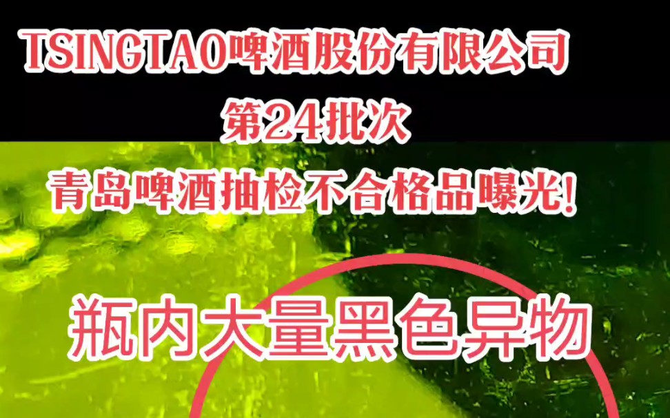 TSINGTAO啤酒股份有限公司 第24批次青岛啤酒抽检不合格品曝光! 酒瓶内壁清洗不彻底,粘附大量黑色斑点污渍,纸纤维物、沉淀异物等!哔哩哔哩...