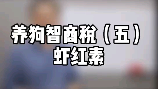 养狗智商税(五)虾红素哔哩哔哩bilibili