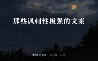 你不讨厌，可是全无用处【那些讽刺性极强的文案】