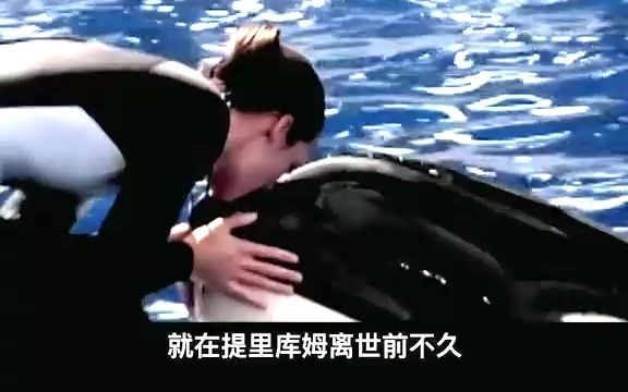 欢乐海洋世界,真的欢乐吗?#黑鲸#纪录片 #保护海洋生物哔哩哔哩bilibili