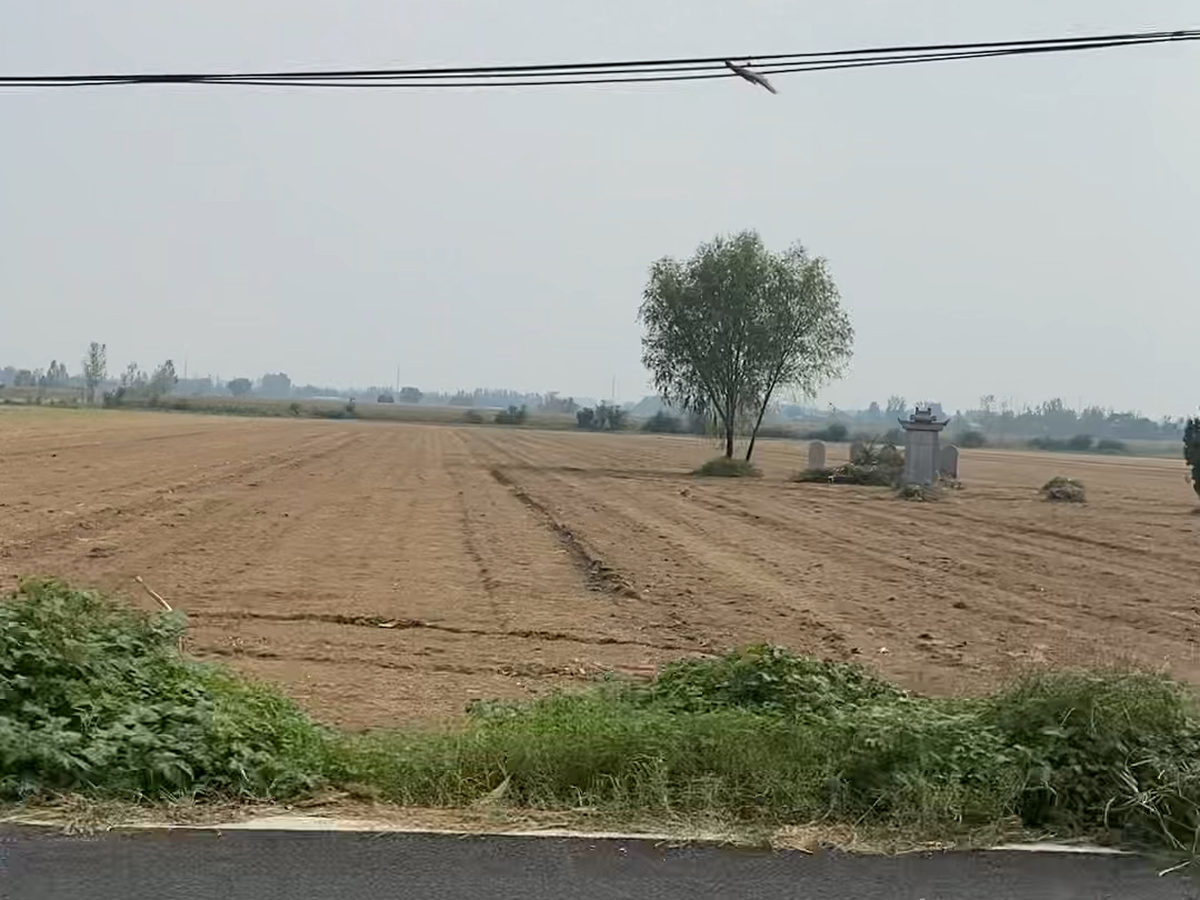 河南的平原,丰收的景象