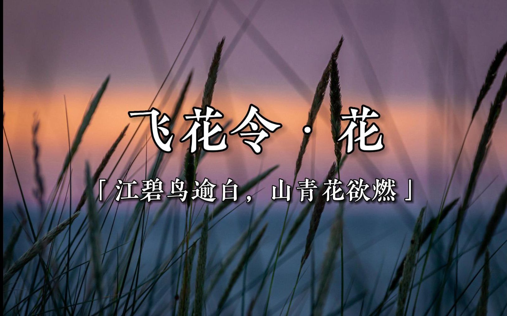 飞花令ⷨŠ𑥓”哩哔哩bilibili