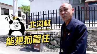 Download Video: 能把狗管住的村子，还有什么事儿干不成？