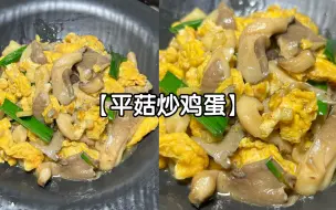 下载视频: 近期家常菜的高光。。请永远相信我的家常菜！！！#平菇炒鸡蛋