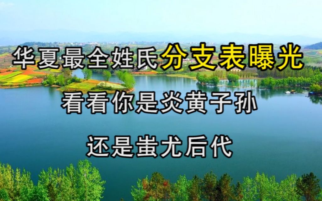 华夏最全姓氏分支表曝光:看看你是炎黄子孙,还是蚩尤后代?哔哩哔哩bilibili