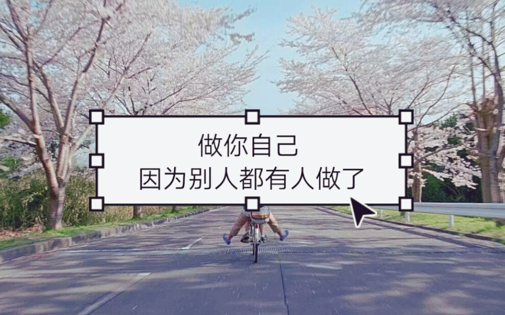 一、个人情况介绍哔哩哔哩bilibili