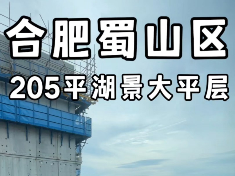 合肥蜀山区205平湖景大平层是你的菜吗?#合肥大平层#合肥湖景房哔哩哔哩bilibili