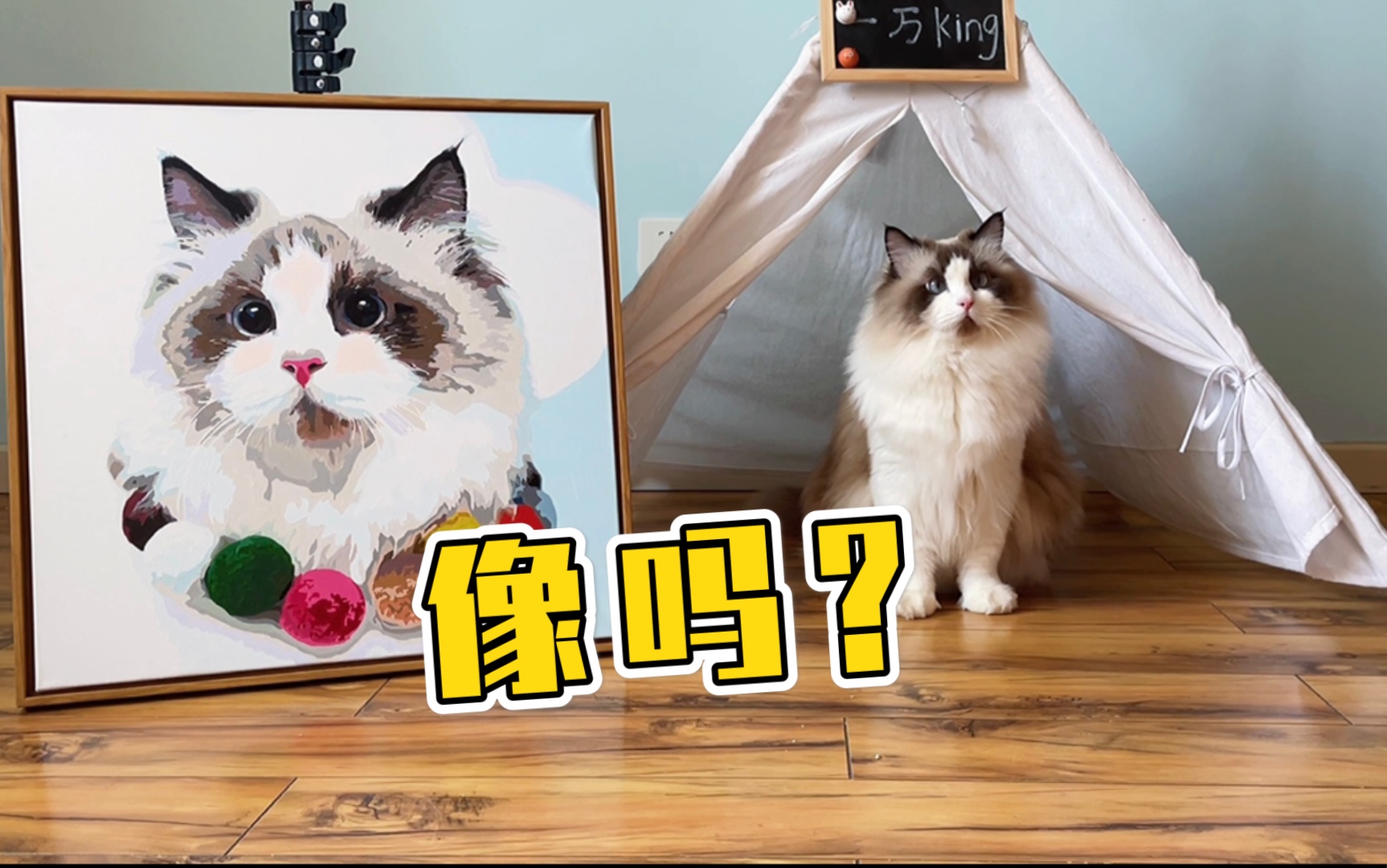 铲屎官给自家猫咪画画,猫咪看到自己的画像时,会感动吗?哔哩哔哩bilibili