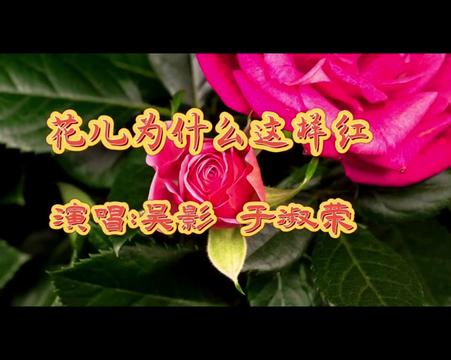 原声原唱《花儿为什么这样红,吴影,于淑荣演唱,感动至极