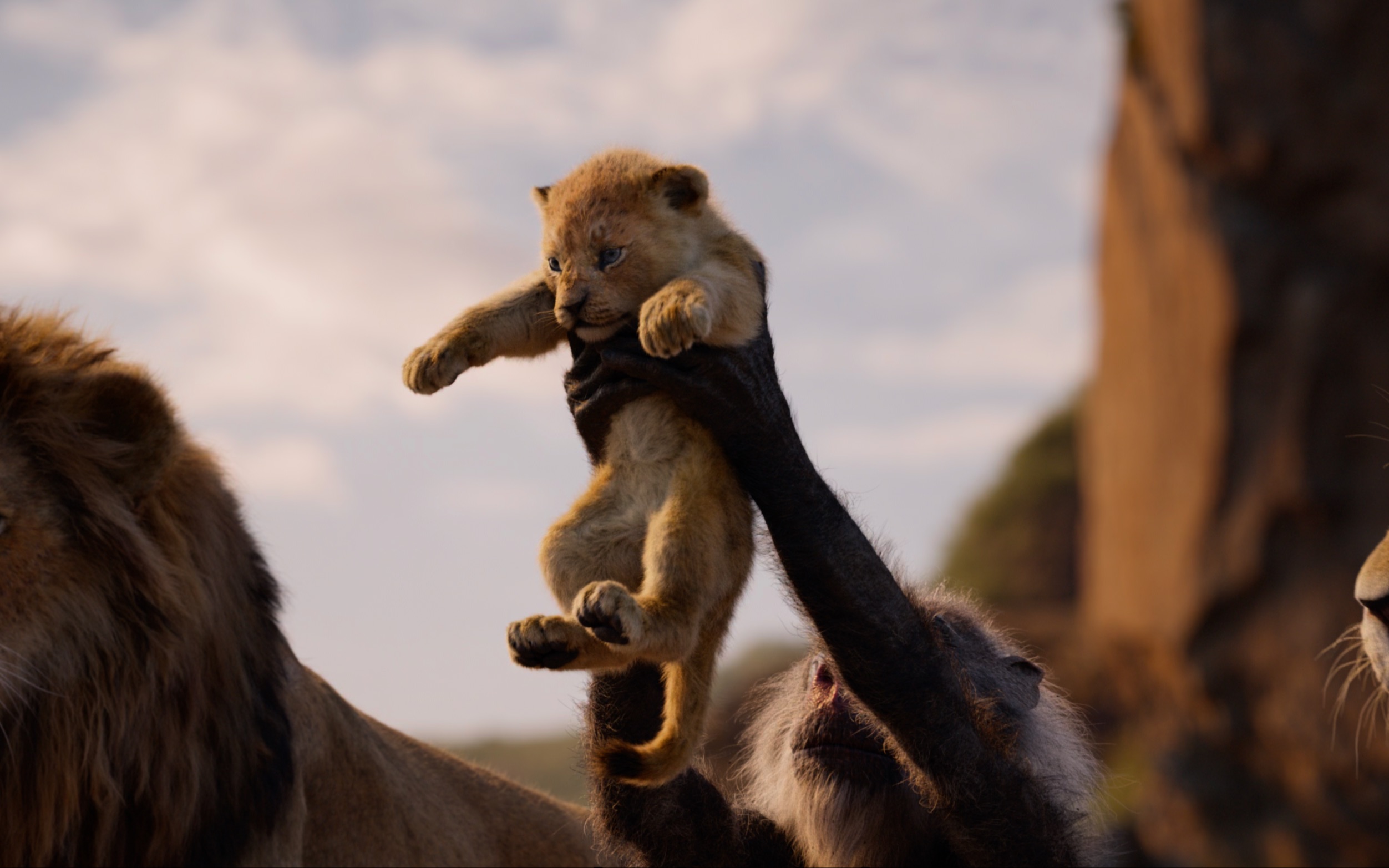 【4k60fps hdr】狮子王真人版《remember》