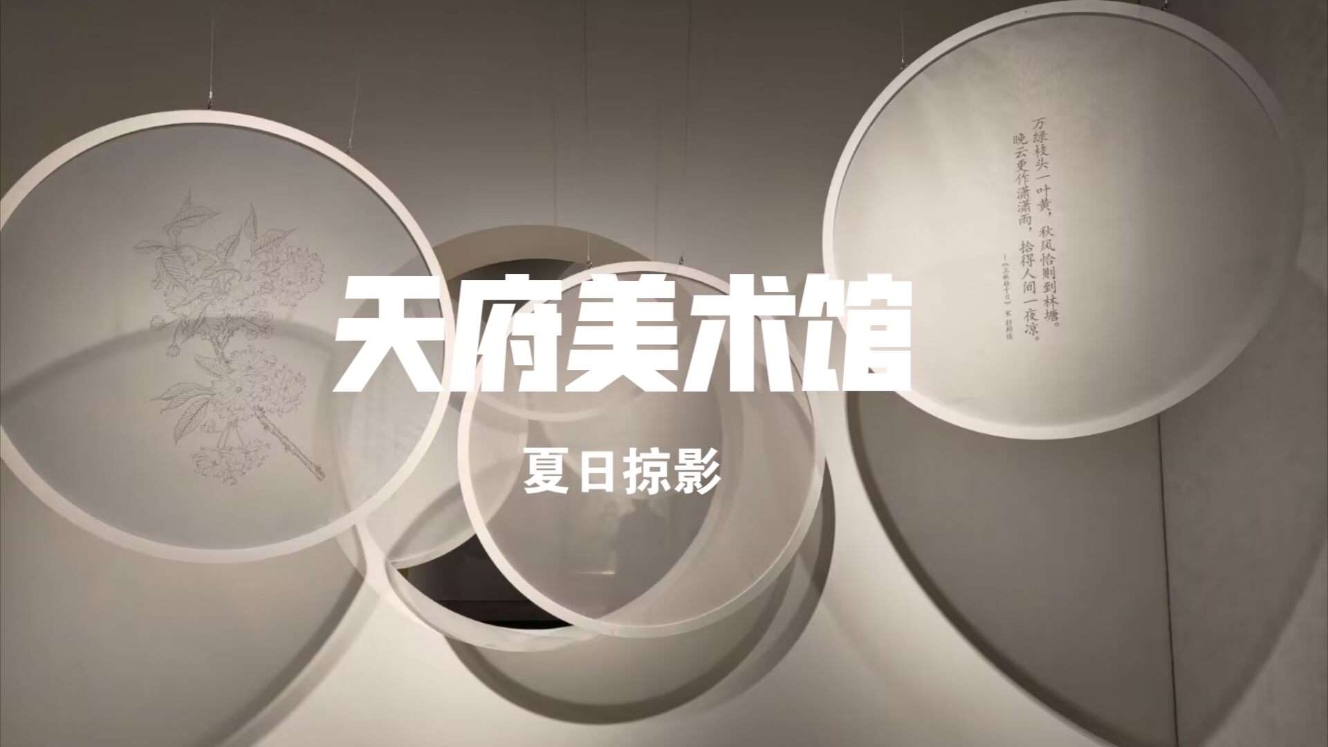 天府美术馆夏日掠影