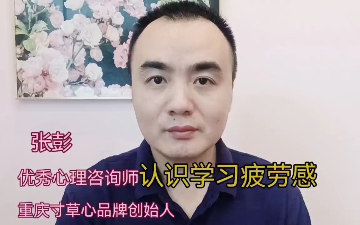 重庆心理医生咨询|青少年咨询寸草心张彭谈学习疲劳感哔哩哔哩bilibili