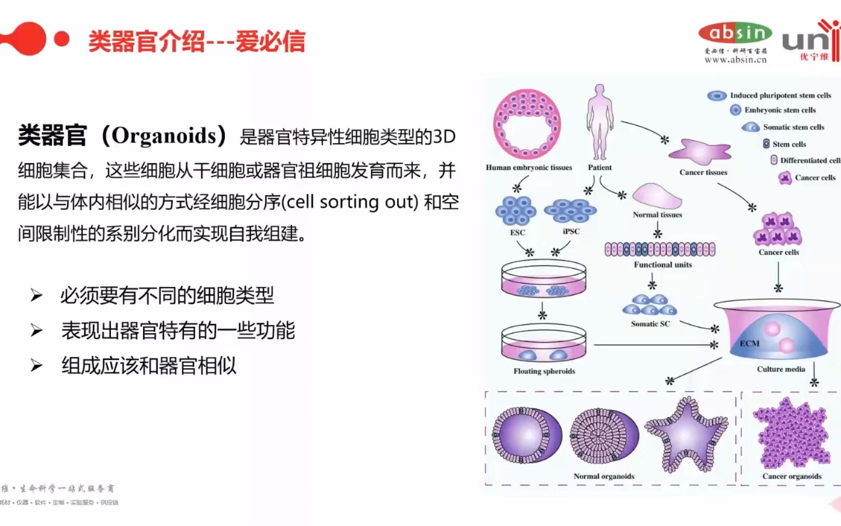 3D类器官技术在科研和临床研究的运用哔哩哔哩bilibili