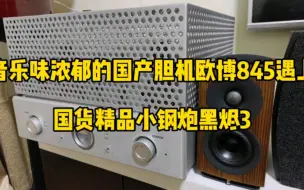 Télécharger la video: 音乐味浓郁的国产胆机欧博845遇上国货精品小钢炮黑烬EL3，演绎邓丽君经典《独上西楼》。