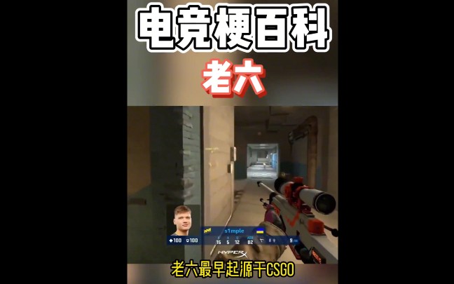 已经融入生活的网络用语老6,是由何而来? #电竞梗百科 #老六 #csgo