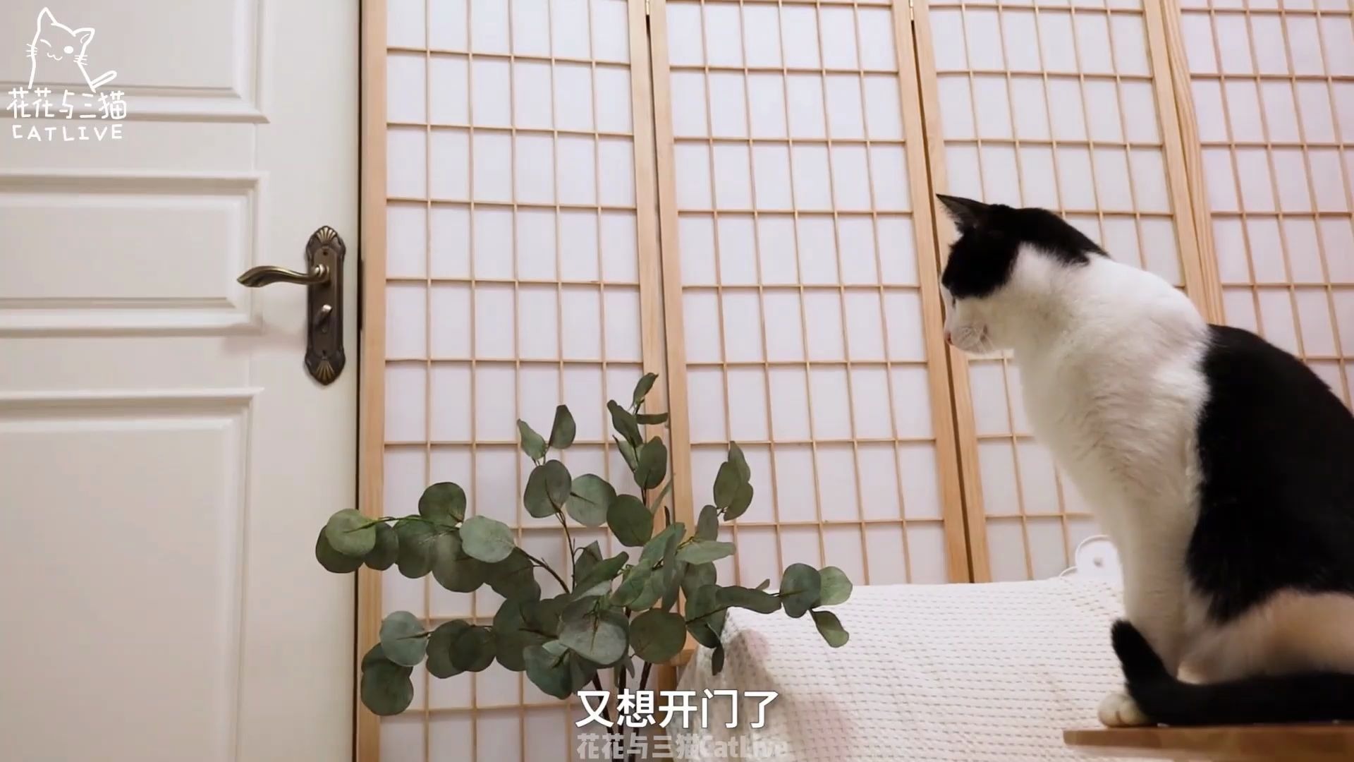花花与三猫老父亲骚话合集