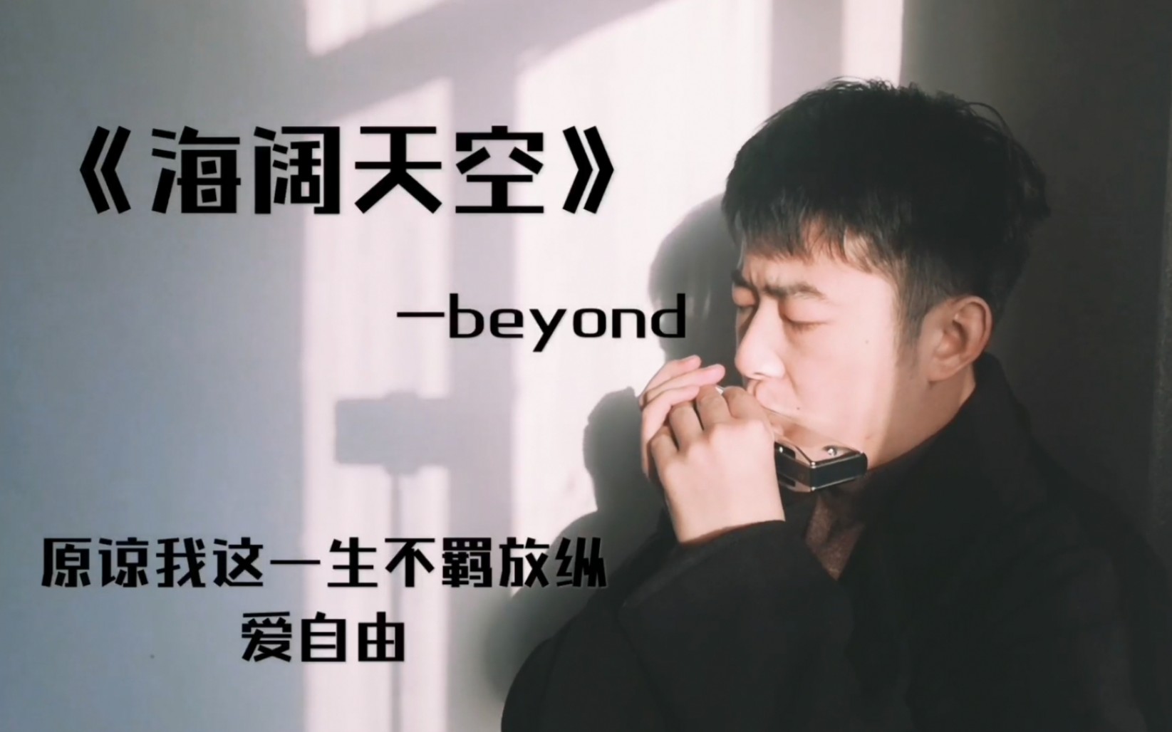 口琴海阔天空beyond附谱应该没有人没听过这首吧狗头原谅我这一生不羁