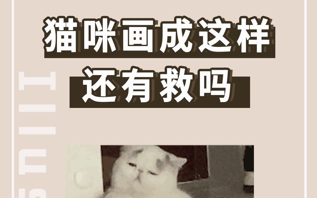 我终于知道了猫咪的正确画法!【阿圆】哔哩哔哩bilibili