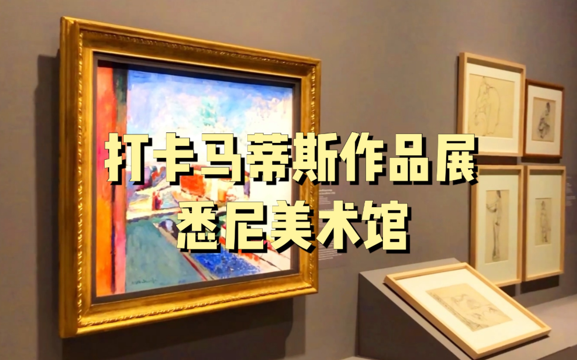 打卡悉尼美术馆|马蒂斯作品展|野兽派画家哔哩哔哩bilibili