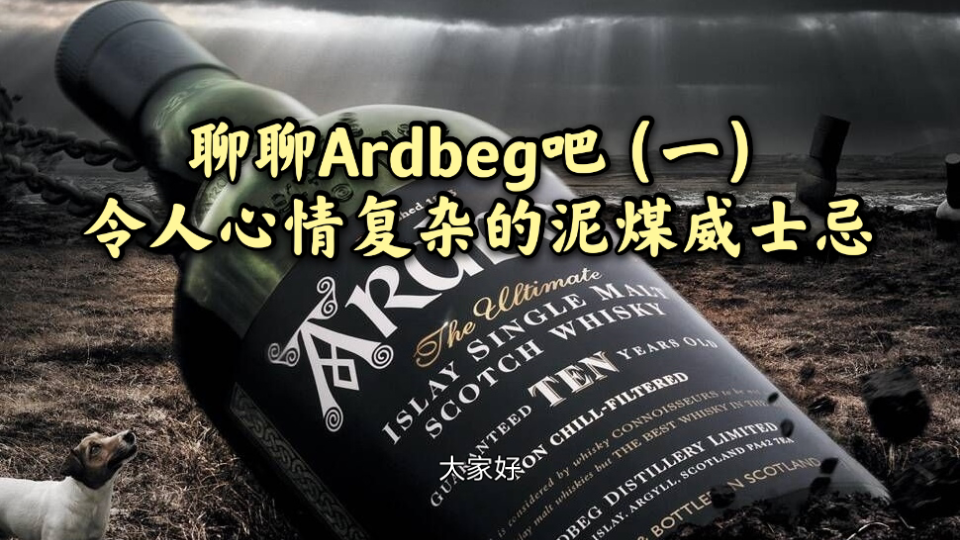 聊聊Ardbeg吧(一)令人心情复杂的泥煤威士忌哔哩哔哩bilibili