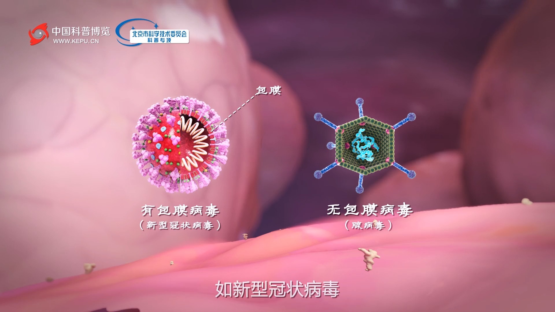  2014年发生过什么病毒?(2014年传染病)