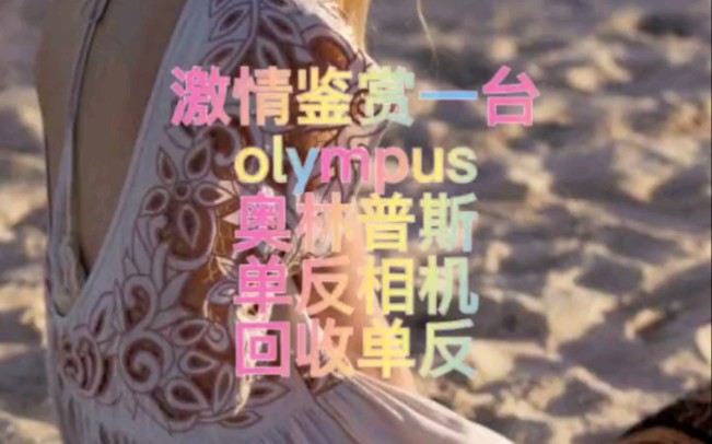 激情鉴赏一台olympus 奥林巴斯 单反相机哔哩哔哩bilibili