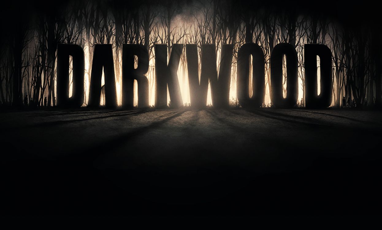 阴暗森林(darkwood)全流程通关01