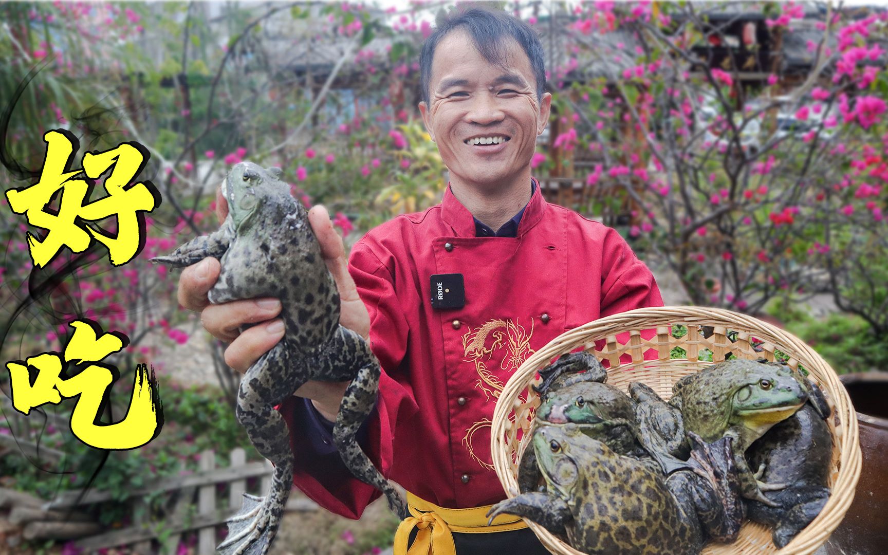 池沟里的牛蛙巨肥,抓来秘制一道舌尖美食,味道竟然出奇的好哔哩哔哩bilibili