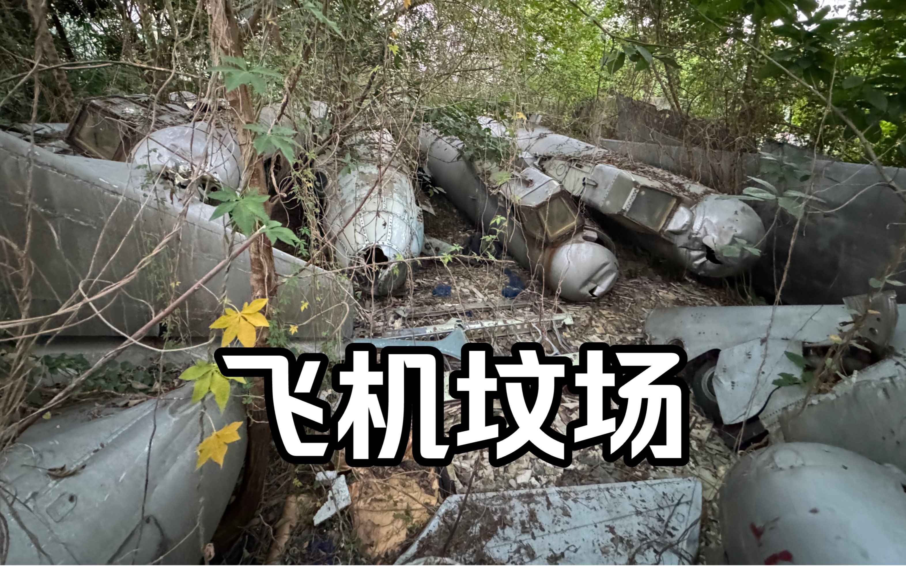 广州废弃飞机墓地图片