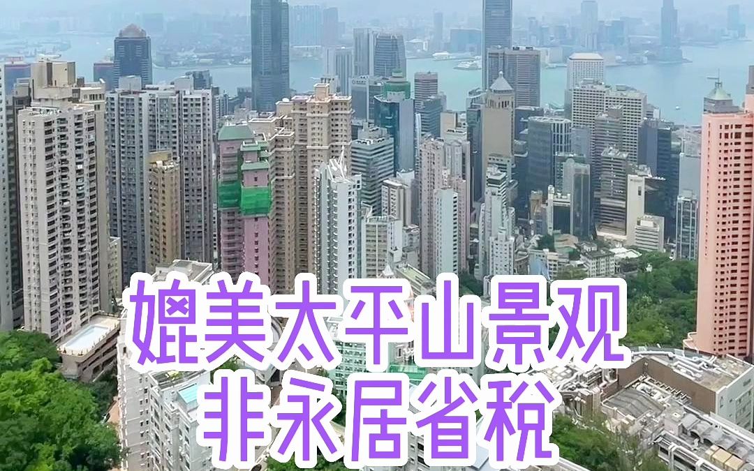 香港30年前的中半山新鸿基传统豪宅,长啥样哔哩哔哩bilibili