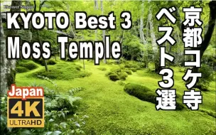 Download Video: 【日本巡礼-26.京都府】京都の苔寺 | 西芳寺 | 三千院 | 祇王寺