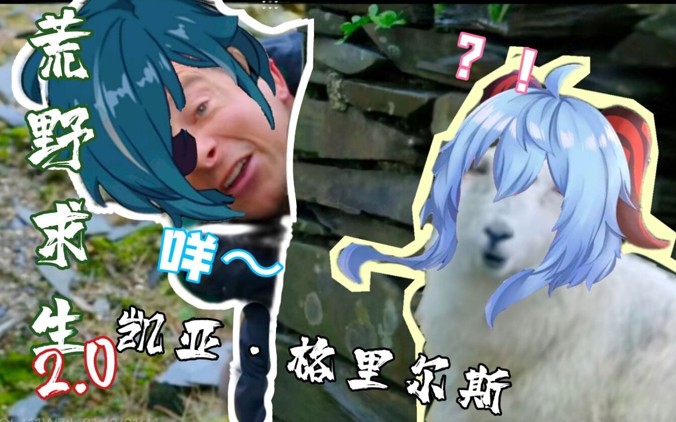 互动视频互动视频凯亚格里尔斯在荒野的一天由你决定原神荒野求生