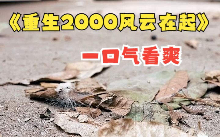 [图]【重生2000风云再起】一口气看爽！