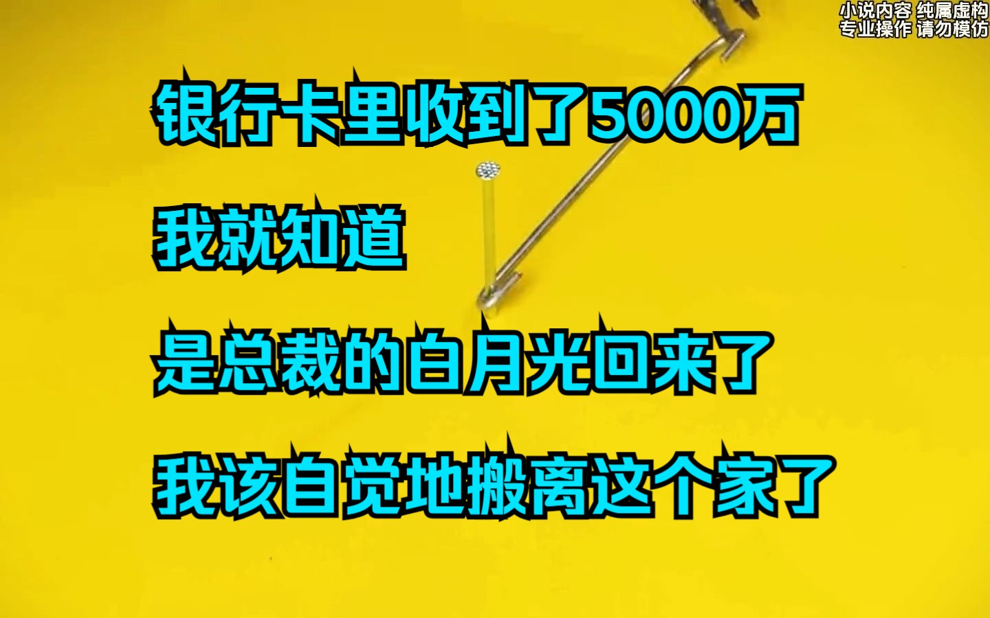 【小说】银行卡里收到了5000万,我就知道,是总裁的白月光回来了,我该自觉地搬离这个家了哔哩哔哩bilibili