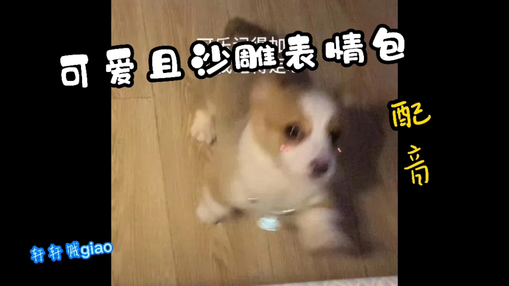 表情包配音第n期…哔哩哔哩bilibili