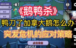 Download Video: 【鹅鸭杀教学】鸭刀了加拿大鹅怎么办 盘点鸭遇到突发危机的应对策略