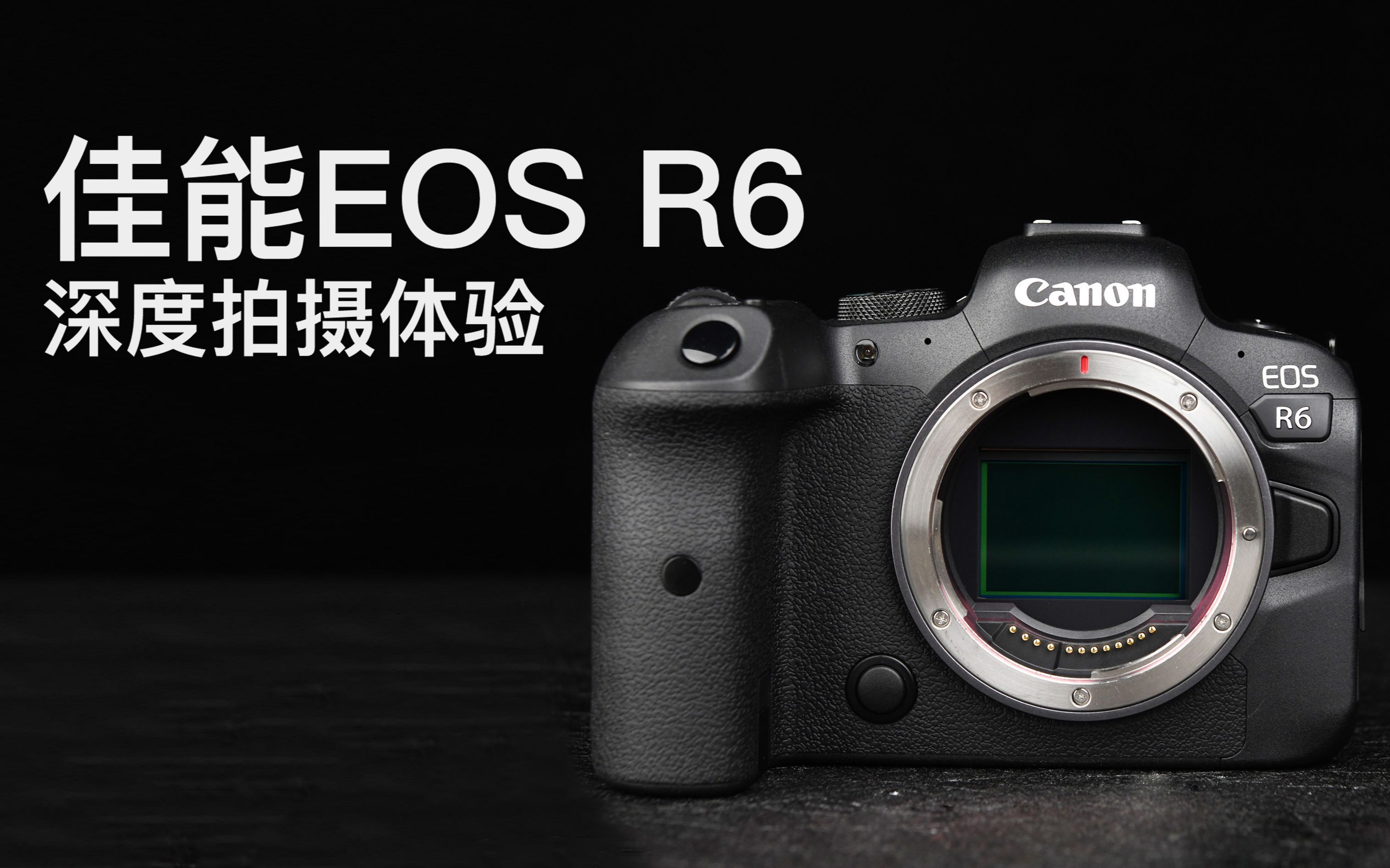 15999元到底值不值得买?佳能eos r6全画幅微单深度体验