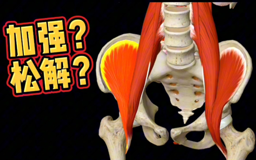 髂腰肌是腰疼的罪魁祸首之一的肌肉!