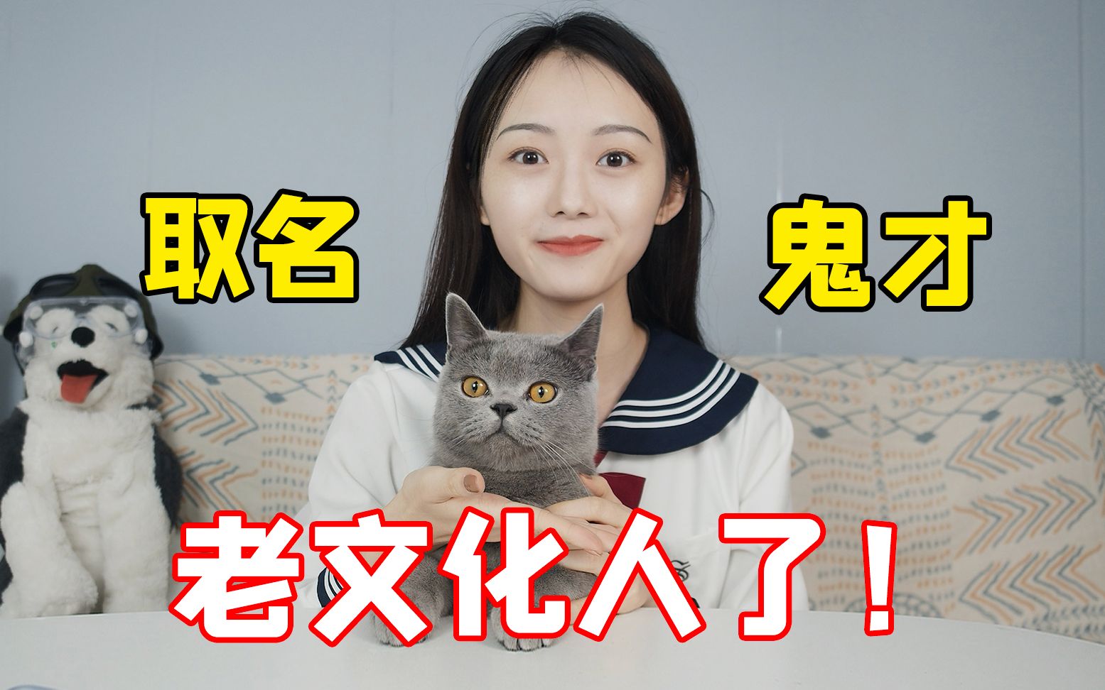 网络征集猫界取名鬼才,文化vs恶搞?哔哩哔哩bilibili