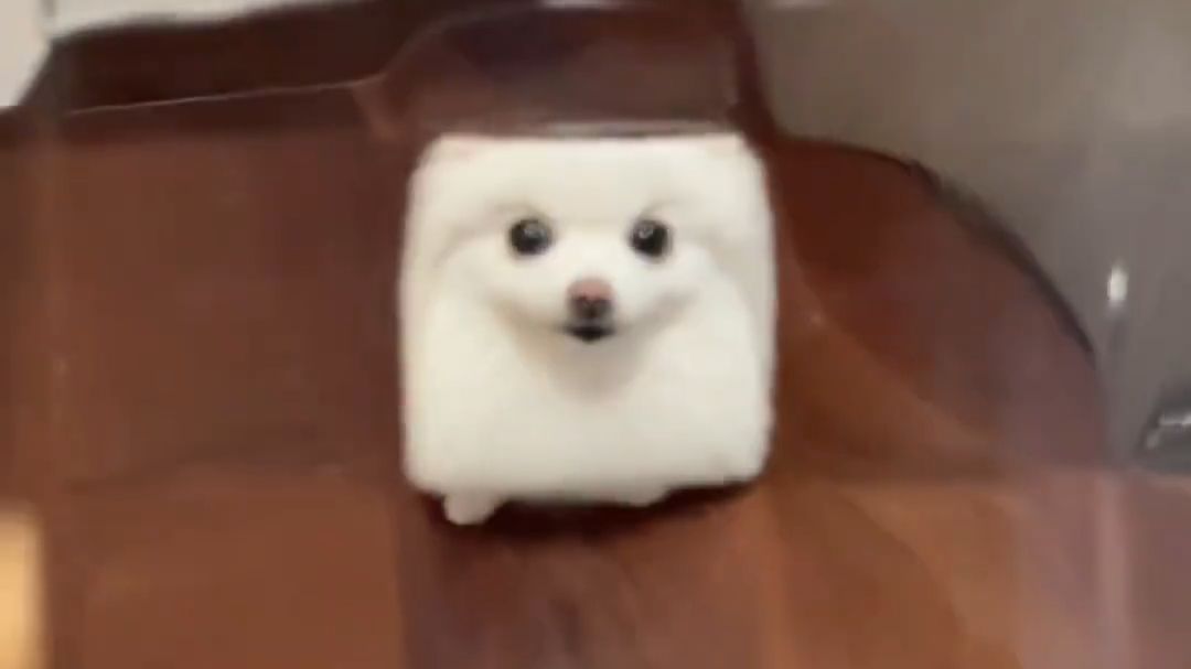 有了它，就得到了不同形状的狗子~