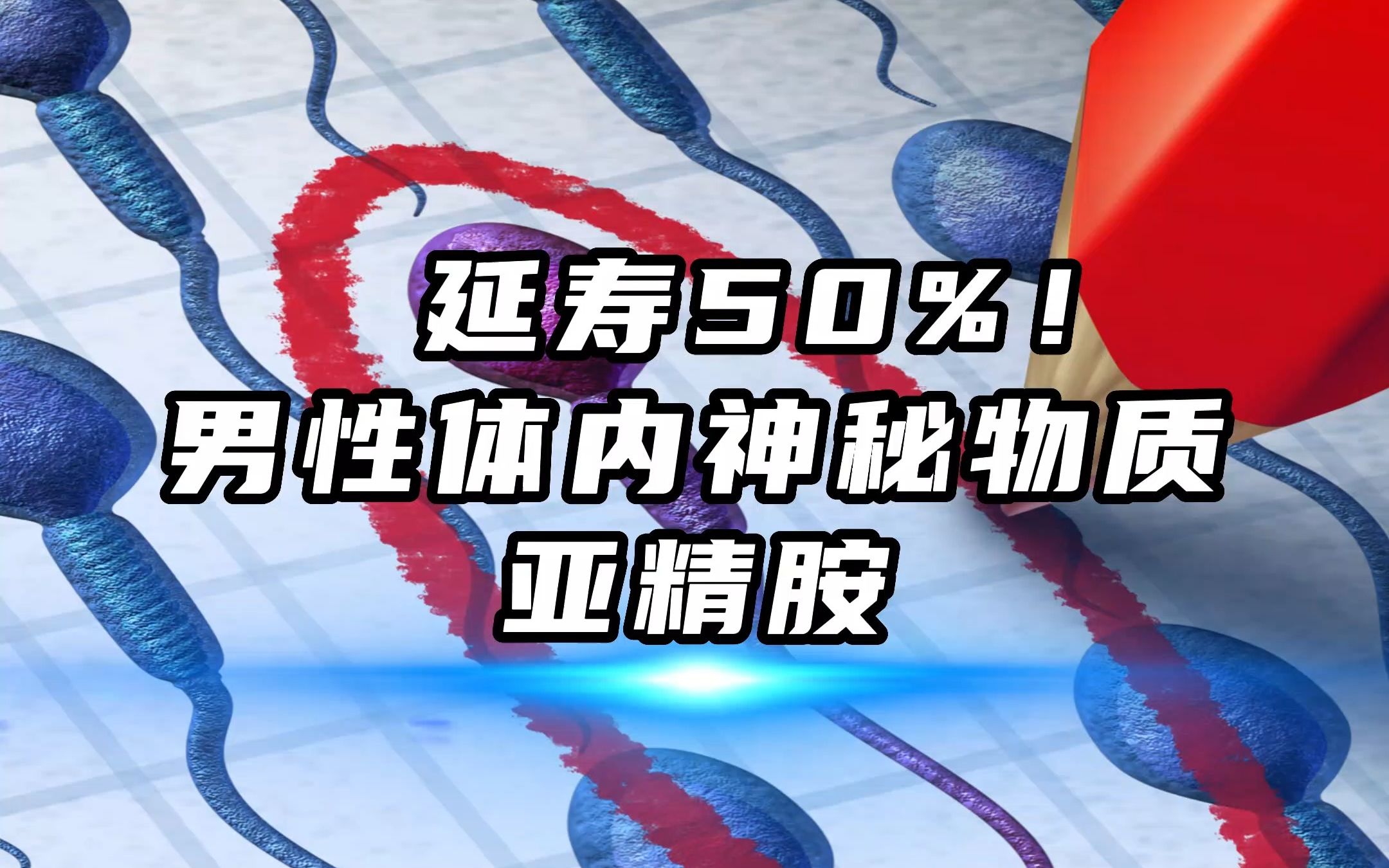 科学背书!精液中的亚精胺,竟有抗衰、延寿、生发等逆天神效哔哩哔哩bilibili