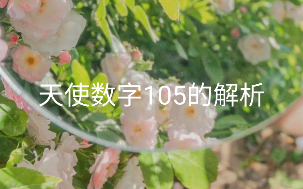 天使数字105的解析、给有缘人哔哩哔哩bilibili