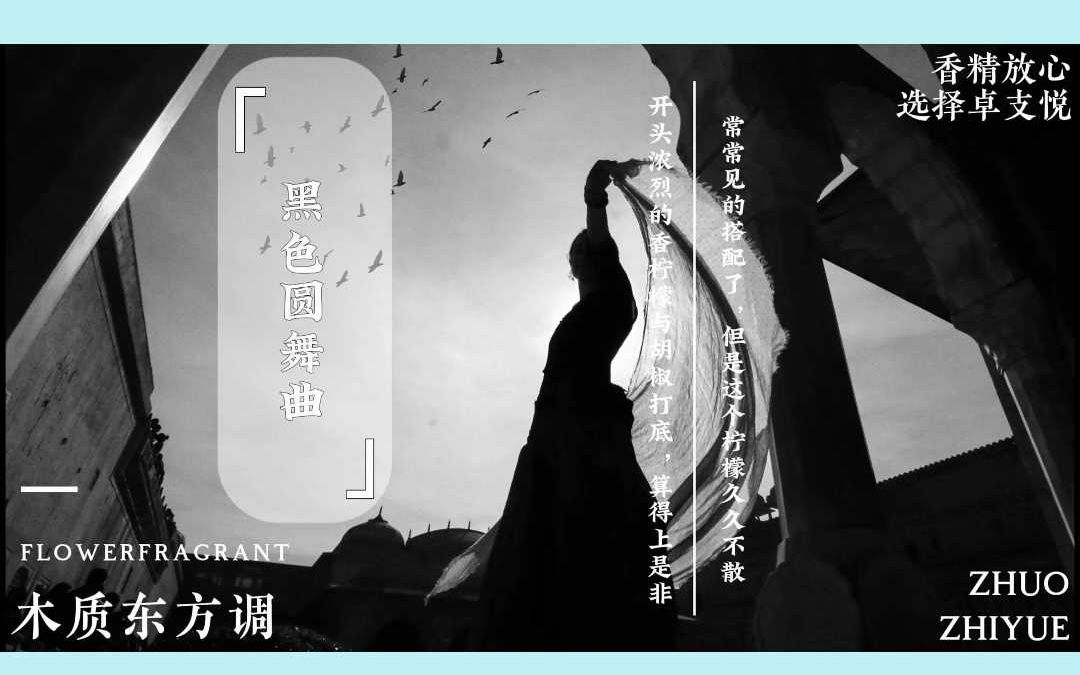 黑色圆舞曲哔哩哔哩bilibili