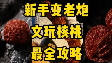 管帽文玩核桃-哔哩哔哩_Bilibili